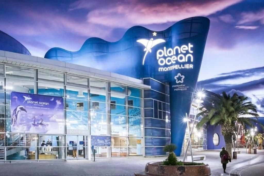 Confort Climatise Et Suite Privee En Sousplex Montpellier Exterior photo